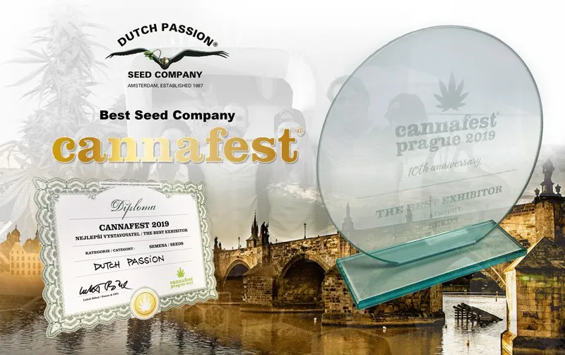 Dutch Passion awarded ‘Best Seedbank’ at Cannafest 2019, Prague