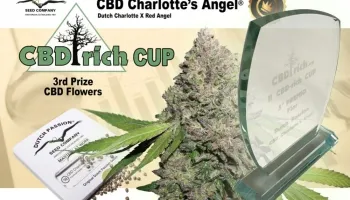 Success for Dutch Passion at the CBD Rich Cannabis Cup