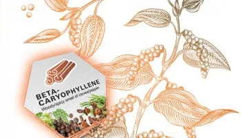 Qu'est-ce que le bêta-caryophyllène et quels sont les effets de ce terpène?