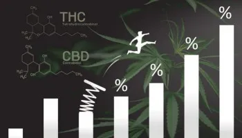 Pourquoi plus de THC ne vous rendra pas nécessairement plus high