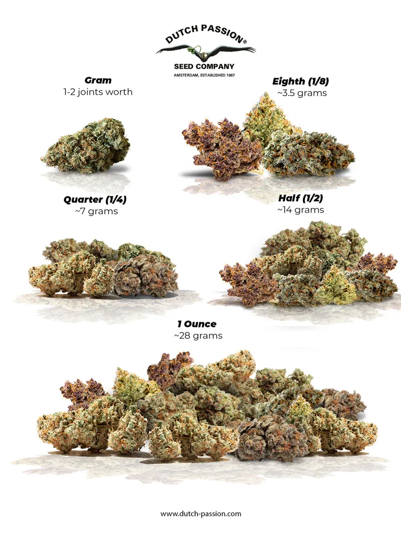 Weed measurement chart in ounces and grams