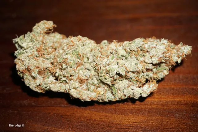 What is skunk and how did it evolve? Strong THC seeds
