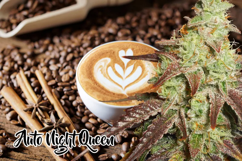 Cannabis-infused coffee