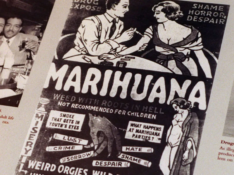 cannabis propoganda