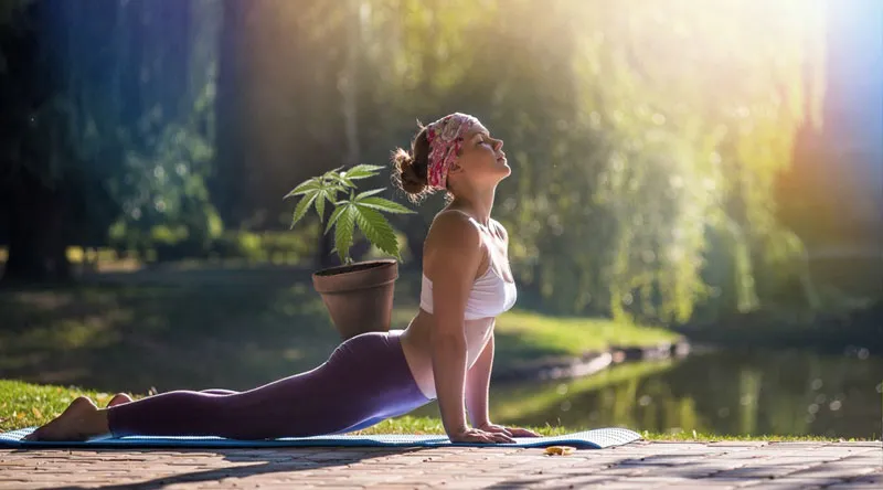 cannabis-yoga-health-dutch-passion-cbd-thc-increase-your-high-naturally