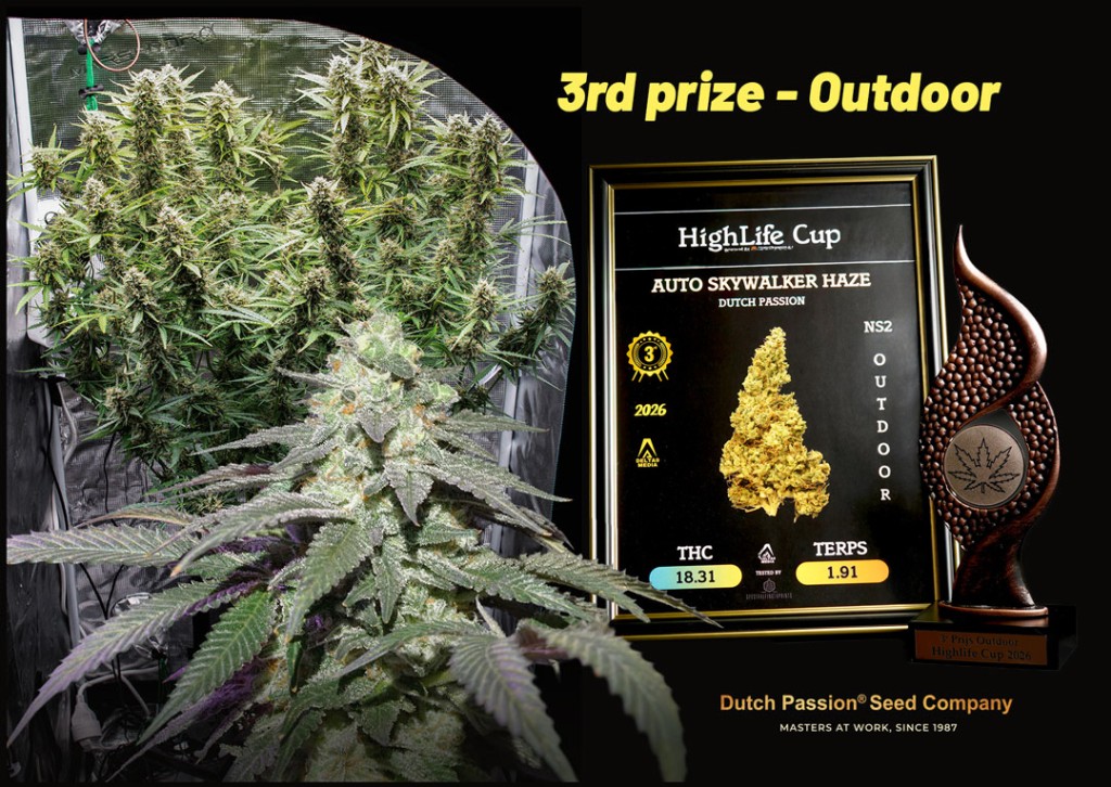 HighLife Cup 2026: Auto Skywalker Haze Wins 3rd Prize (Outdoor)