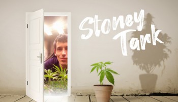Interview: cannabis grow book by Stoney Tark