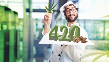 420 ricette per un menù completo a base di erba