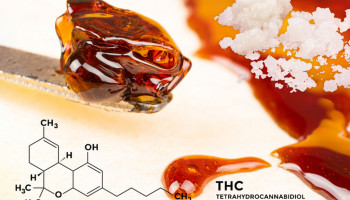 Czym jest czyste THC, i jak wypada w porównaniu z bogatymi w THC pąkami konopi?