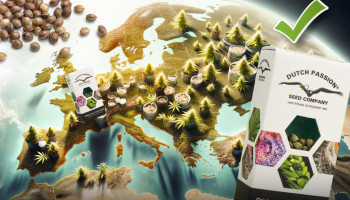 Dove è legale acquistare i semi di cannabis in Europa?