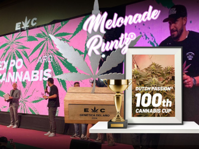 Melonade Runtz premiada como mejor cepa del año en Argentina
