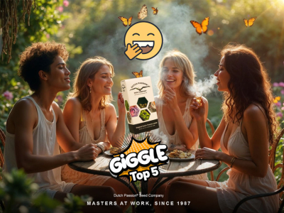 Top 5 des variétés de cannabis pour vous faire pouffer de rire