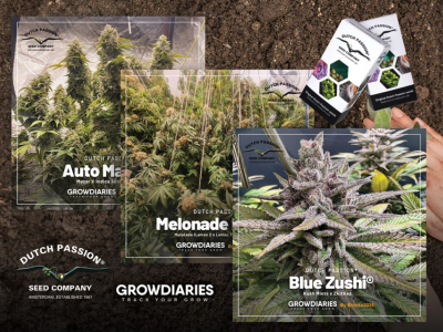 Meilleurs journaux de culture de graines de cannabis de février 2025