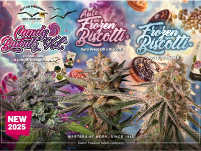 Nouveautés 2025 : Candy Bubatz, Frozen Biscotti et Auto Frozen Biscotti