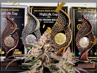 HighLife Cup 2025: 4 odmiany Dutch Passion nagrodzone!