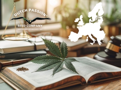 Where is weed legal in Europe in 2026?