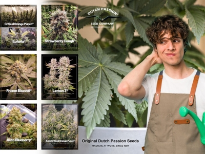 Best cannabis strains for first-time growers in 2026