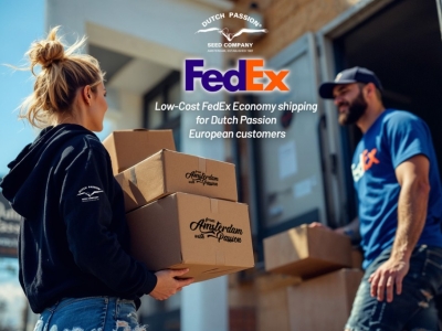 FedEx Economy-Versand jetzt für europäische Dutch Passion Kunden