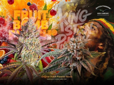 Nouvelles graines de cannabis en 2026: de la puissance avec un effet renversant