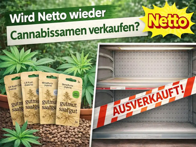 Wird Netto wieder Cannabissamen verkaufen?