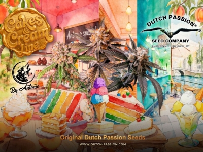 Cakes & Cream: Nuevas semillas regulares de edición limitada de Antoni