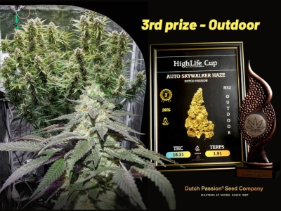 HighLife Cup 2026: Auto Skywalker Haze bere 3. místo