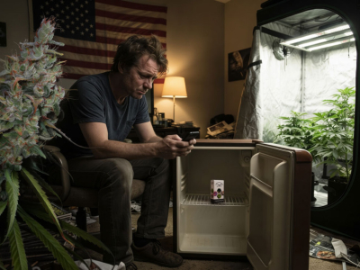 Could US home growers soon lose easy access to world class cannabis genetics?