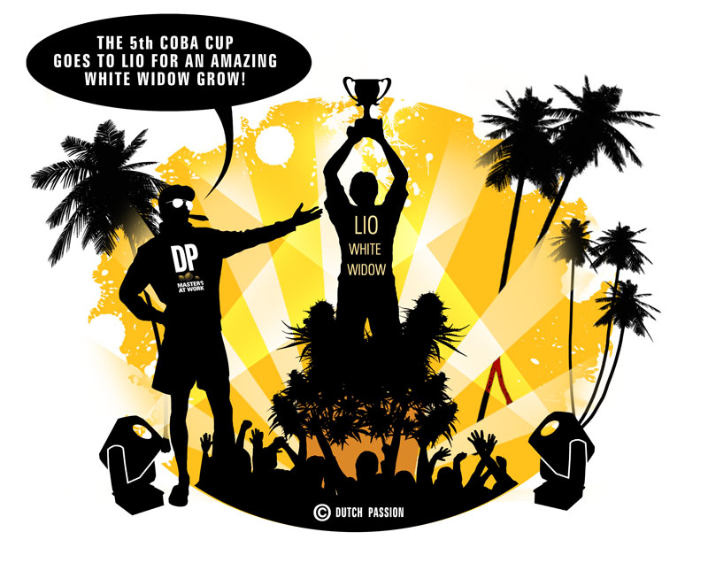 Dutch Passion White Widow Wins 5th C.A.B.A Cup