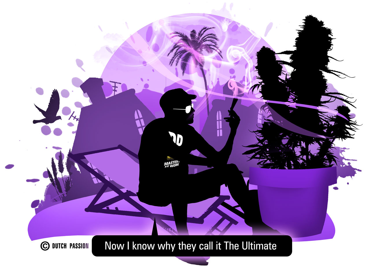 The Ultimate, a potent Dutch Passion classic with XXL yields