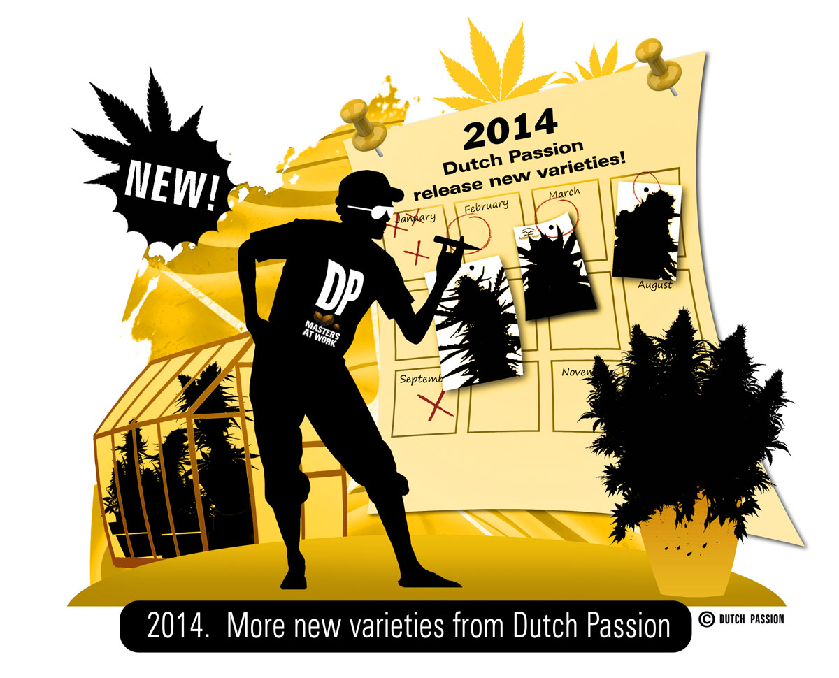 Dutch Passion new varieties announced for 2014