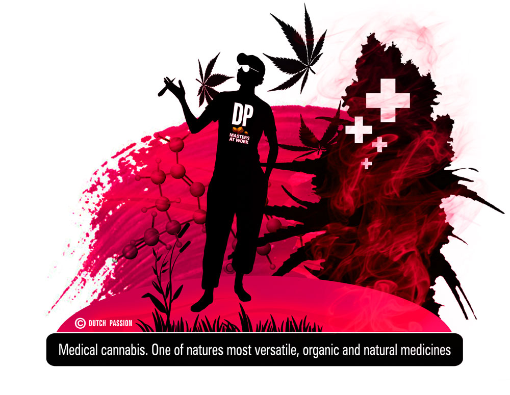 What is medical cannabis?