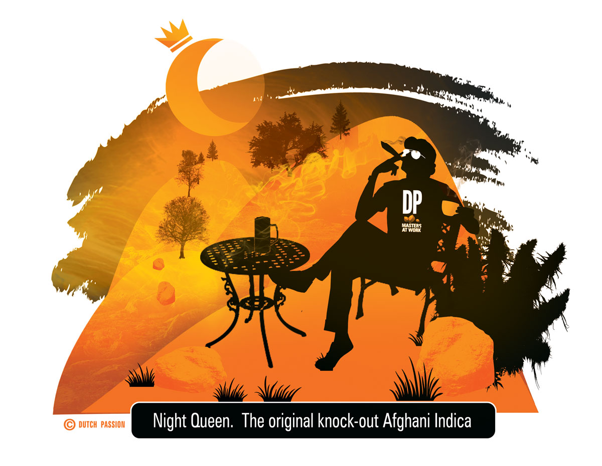 Night Queen.  Sleep aid and anti-anxiety medication