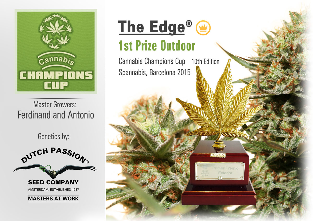 Dutch Passion Win Champions Cup 1st Prize with 'The Edge'