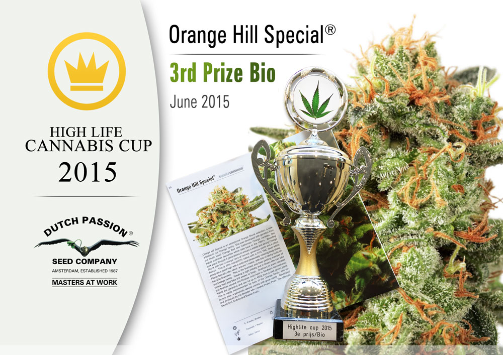 Cannabis Cup Success For Night Queen And Orange Hill Special