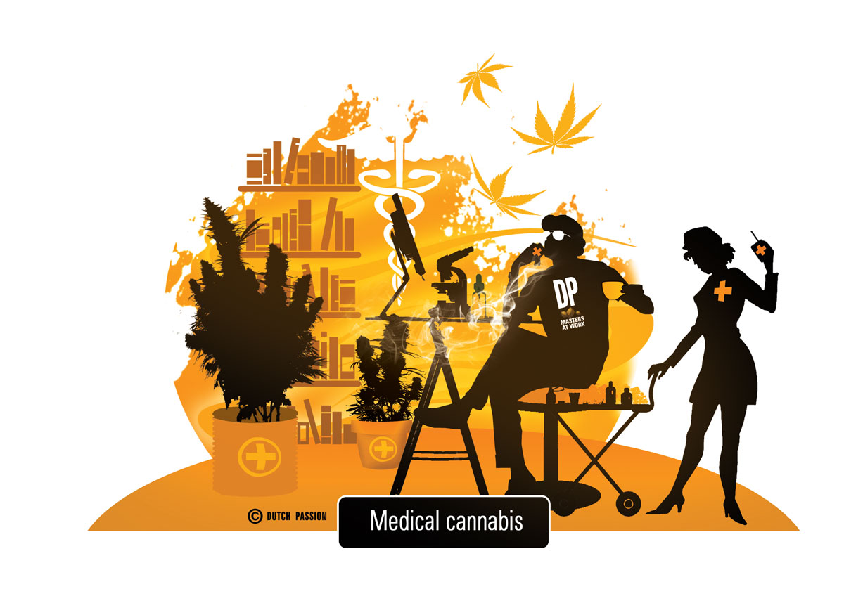 Cannabis medicinal.  Declaraciones oficiales del gobierno holandés.
