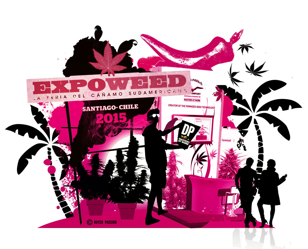 Dutch Passion Win 1st Prize At Expoweed Chile 2015