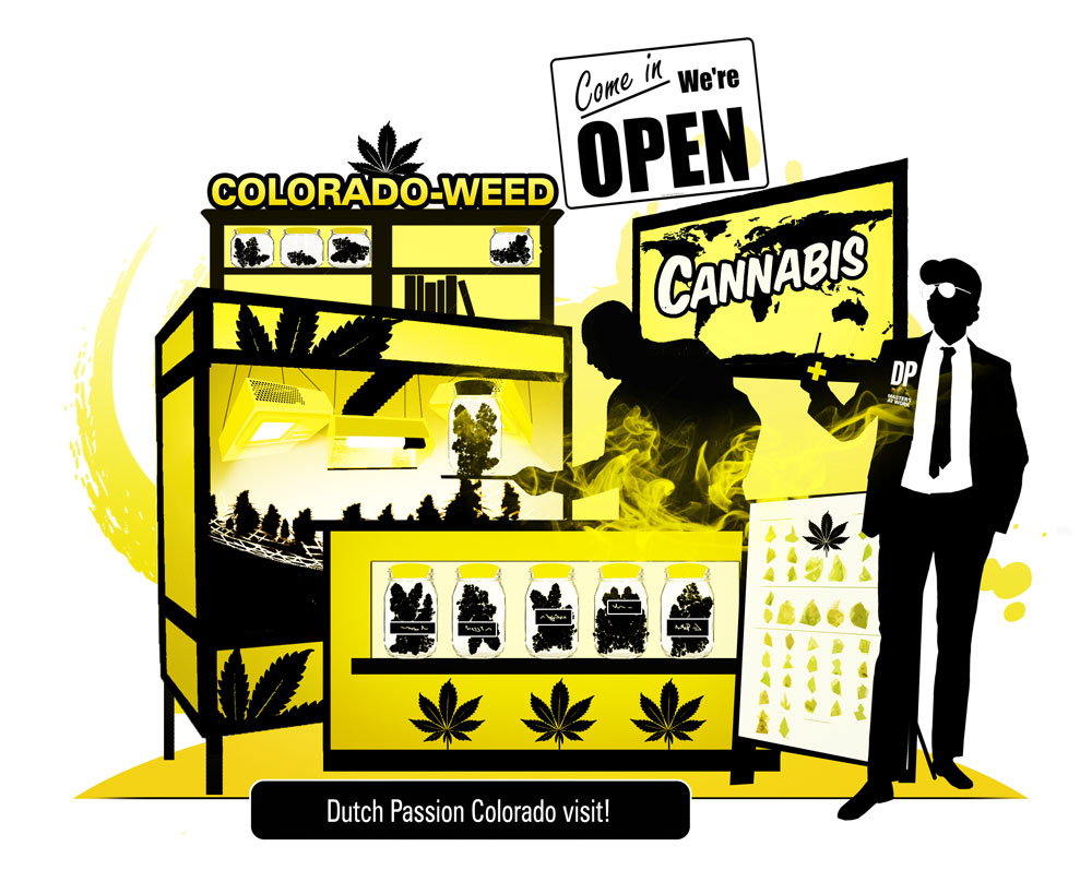 Dutch Passion en Colorado: un viaje por carretera para evaluar el panorama del cannabis