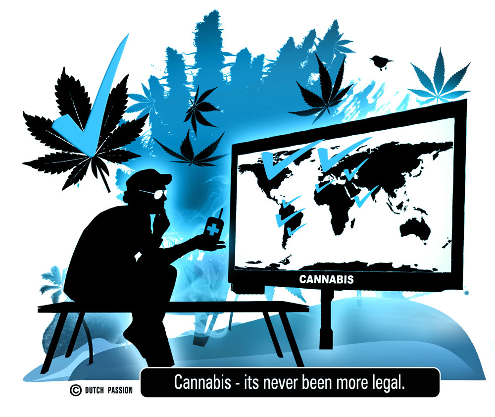 Cannabis legalization.  North America v Portugal v Holland