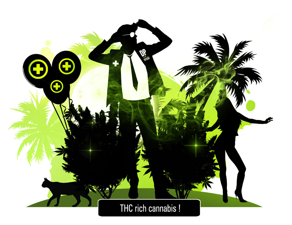 THC. The effects of high THC cannabis, Tetrahydrocannabinol and cannabidiol.