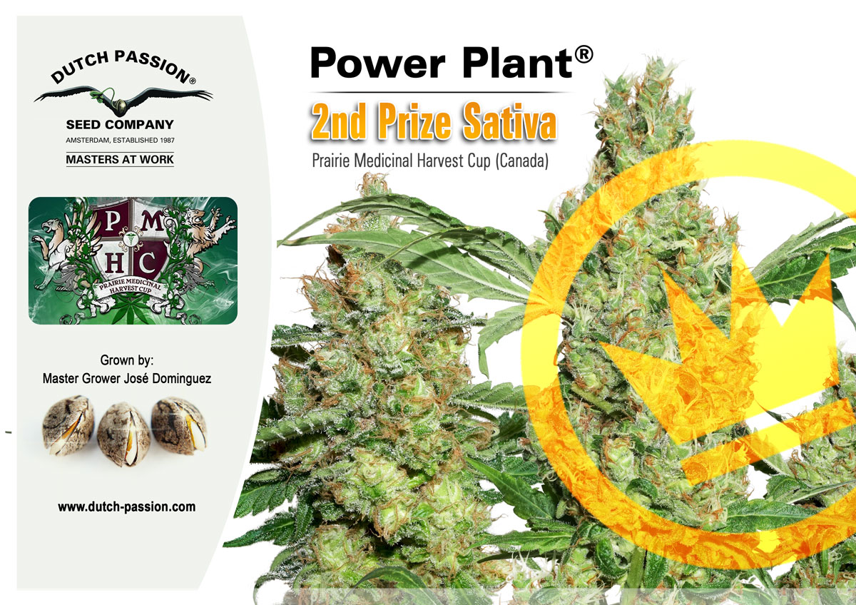 Cannabis Cup For Dutch Passion Power Plant in Canada