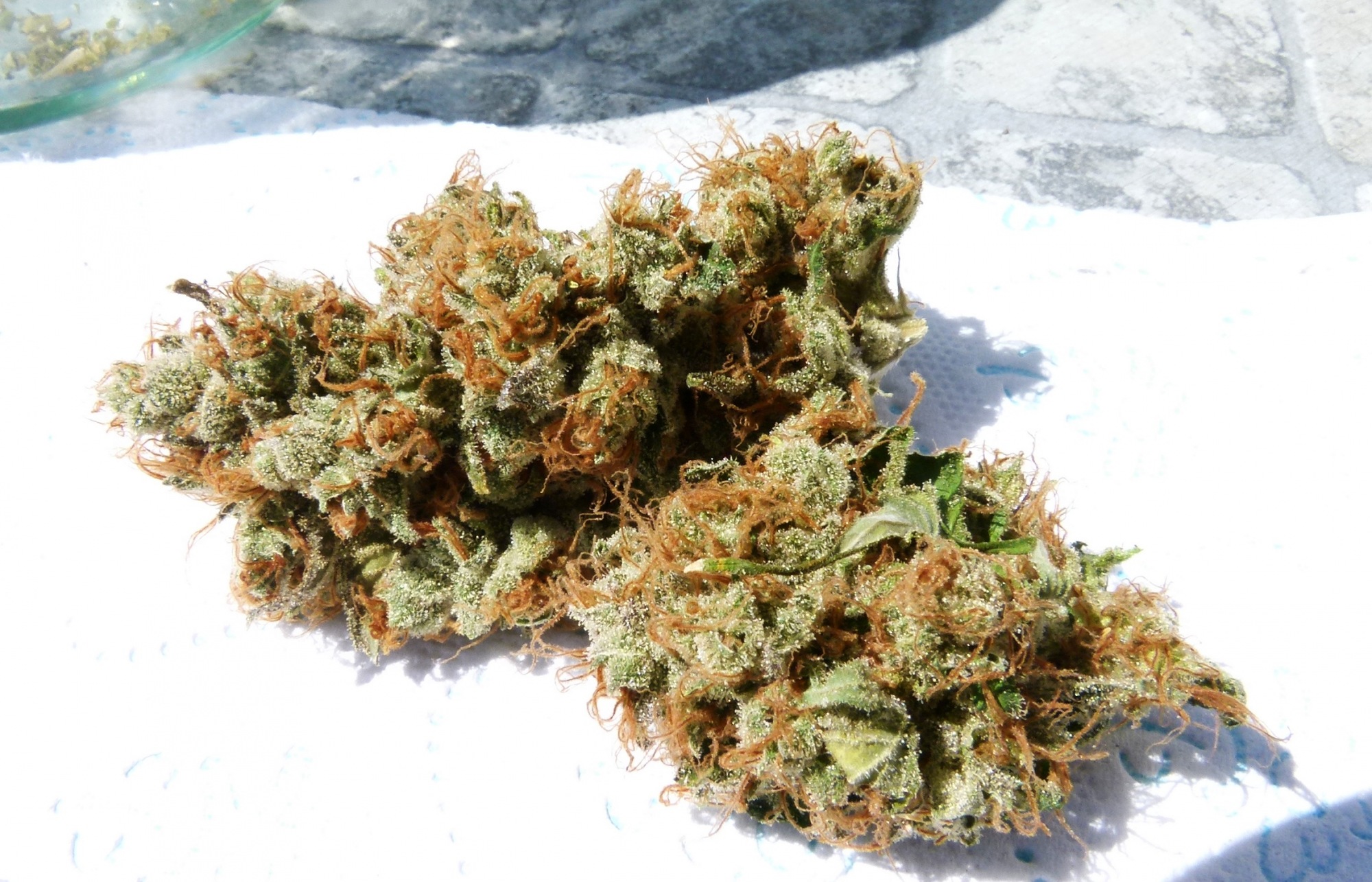 Sweden grants first medical cannabis licenses