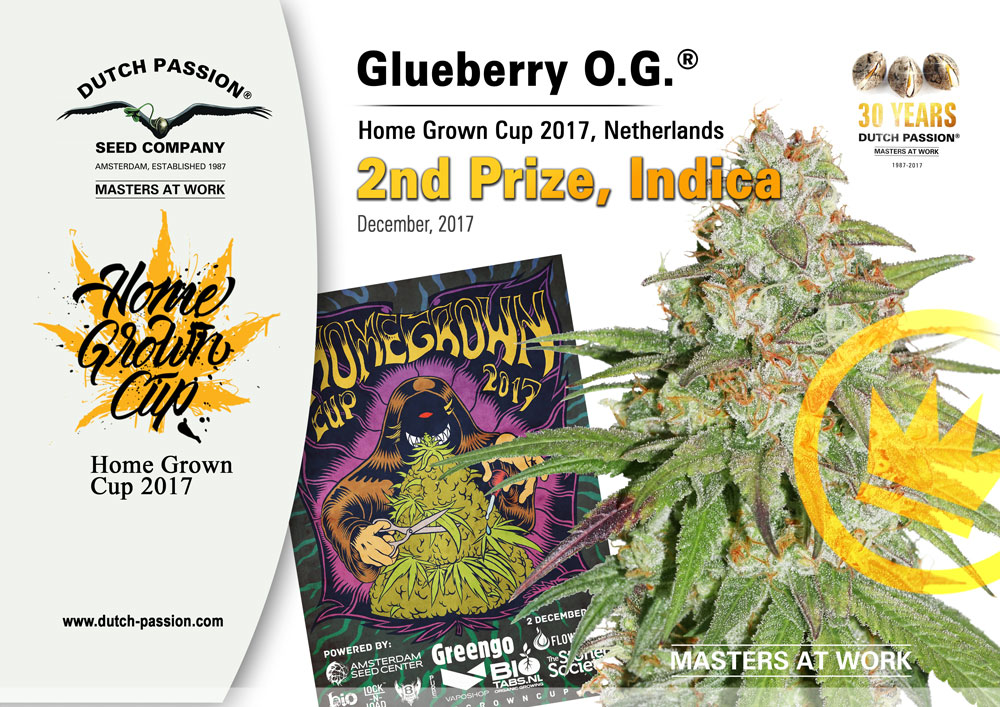 Dutch Passion Glueberry OG Cannabis Cup Success.