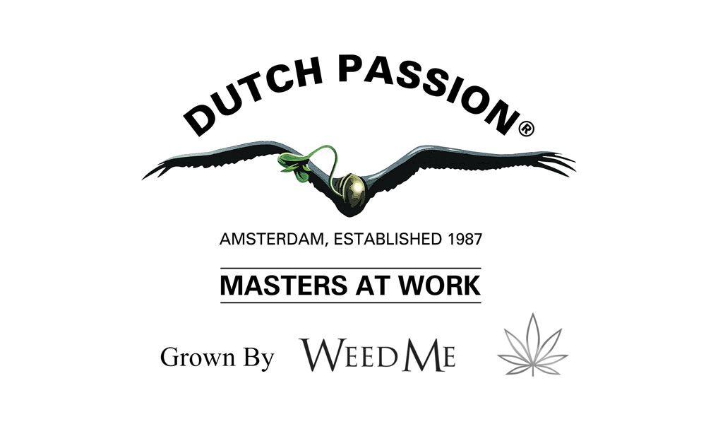 Dutch Passion announce partnership with Canadian cannabis producer Weed Me.