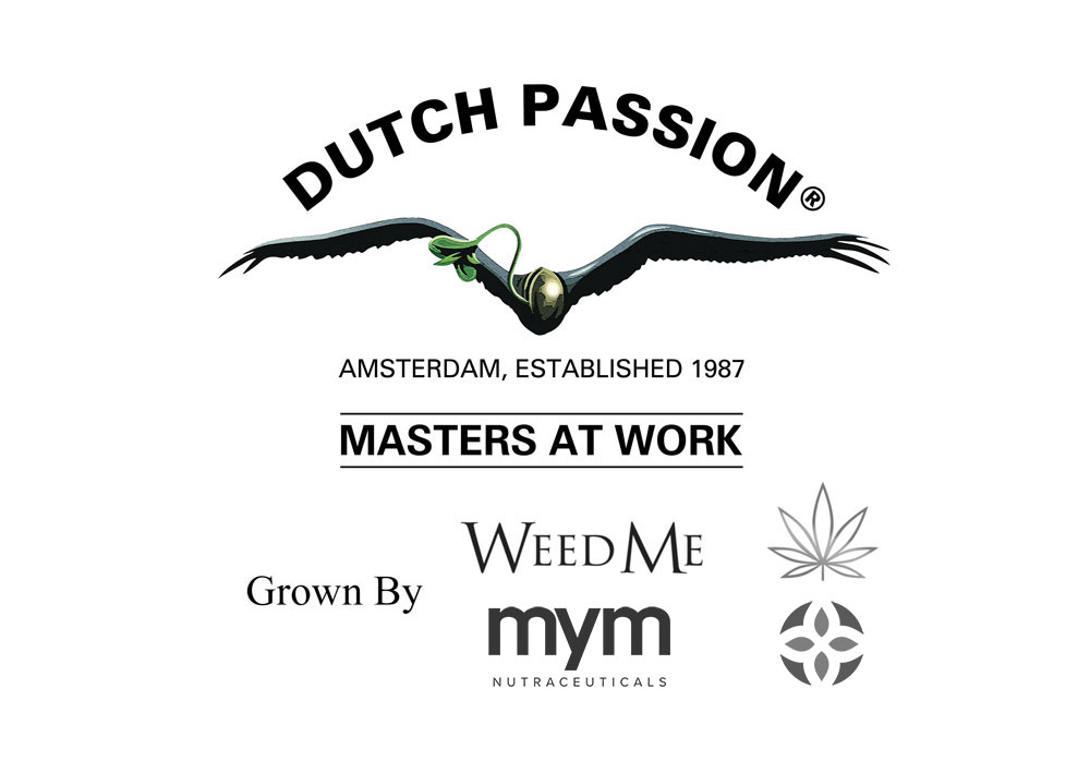 Dutch Passion announce new partnerships in Canadian, Colombian and Australian me