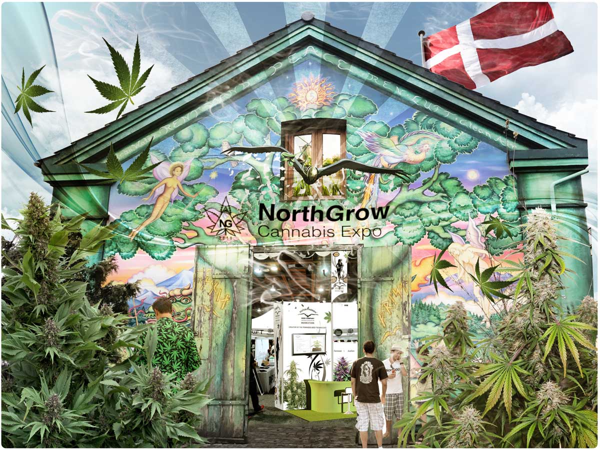 Dutch Passion at North Grow in Denmark. One of the biggest cannabis expo in Scan