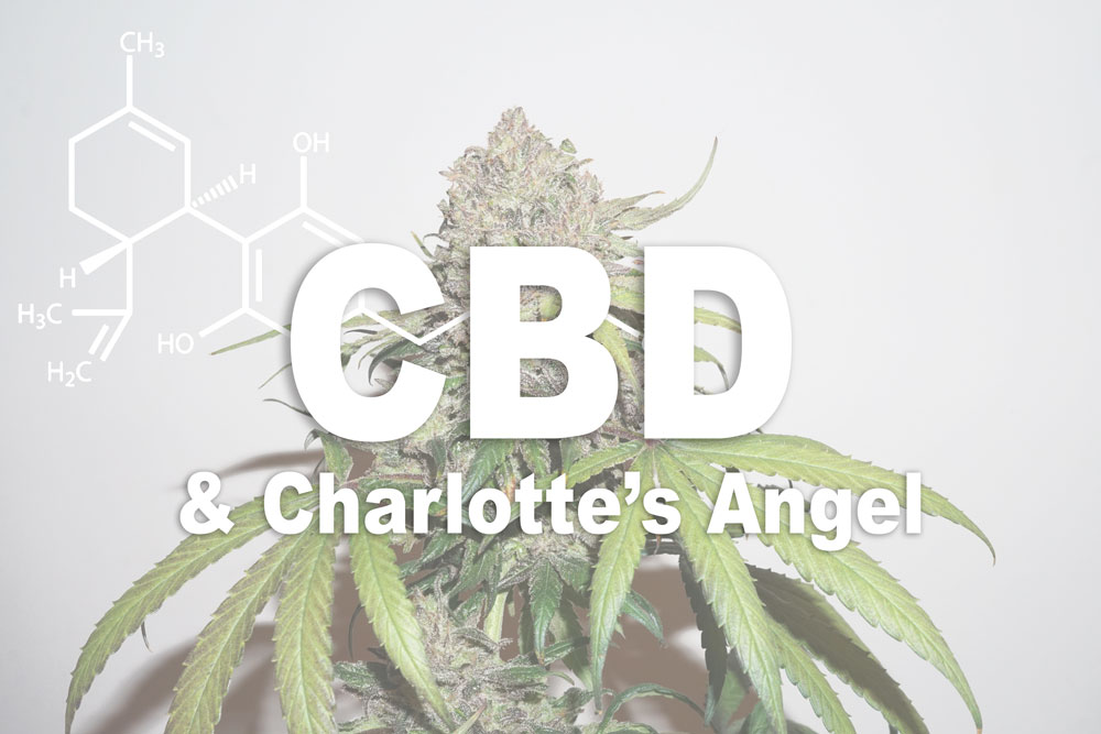 The best uses of low THC cannabis. Why low -THC marijuana is so popular