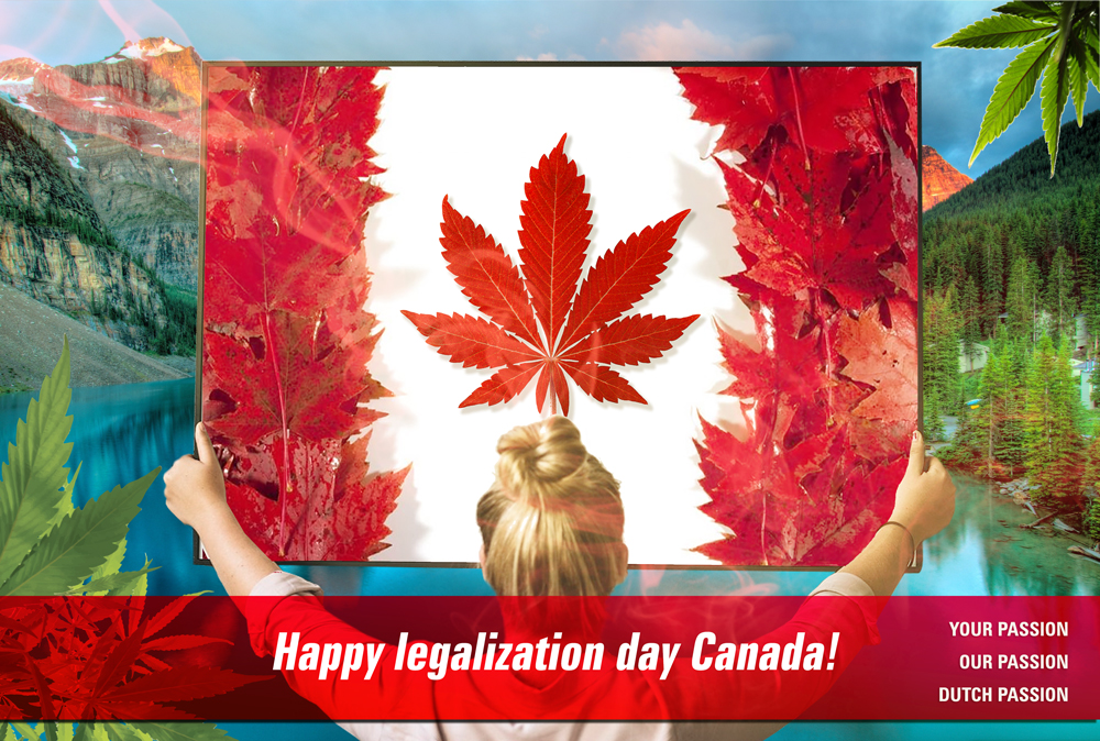 Canada Legalizes Cannabis