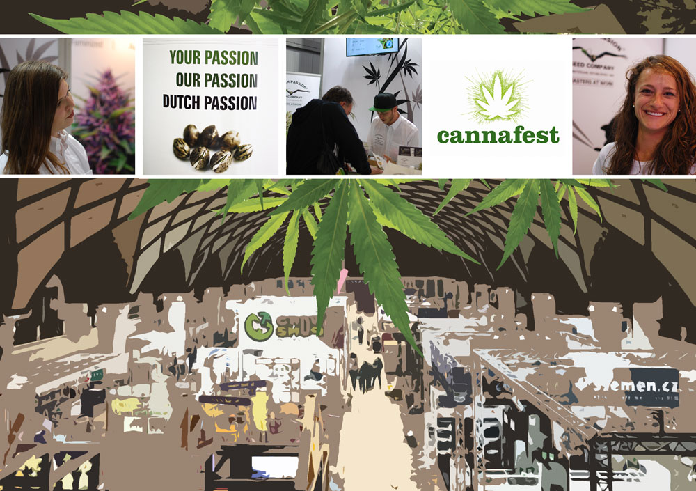 Cannafest. Dutch Passion review Prague's major cannabis expo