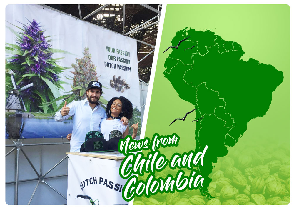Medeweed and Expoweed. Dutch Passion cannabis seeds in South America