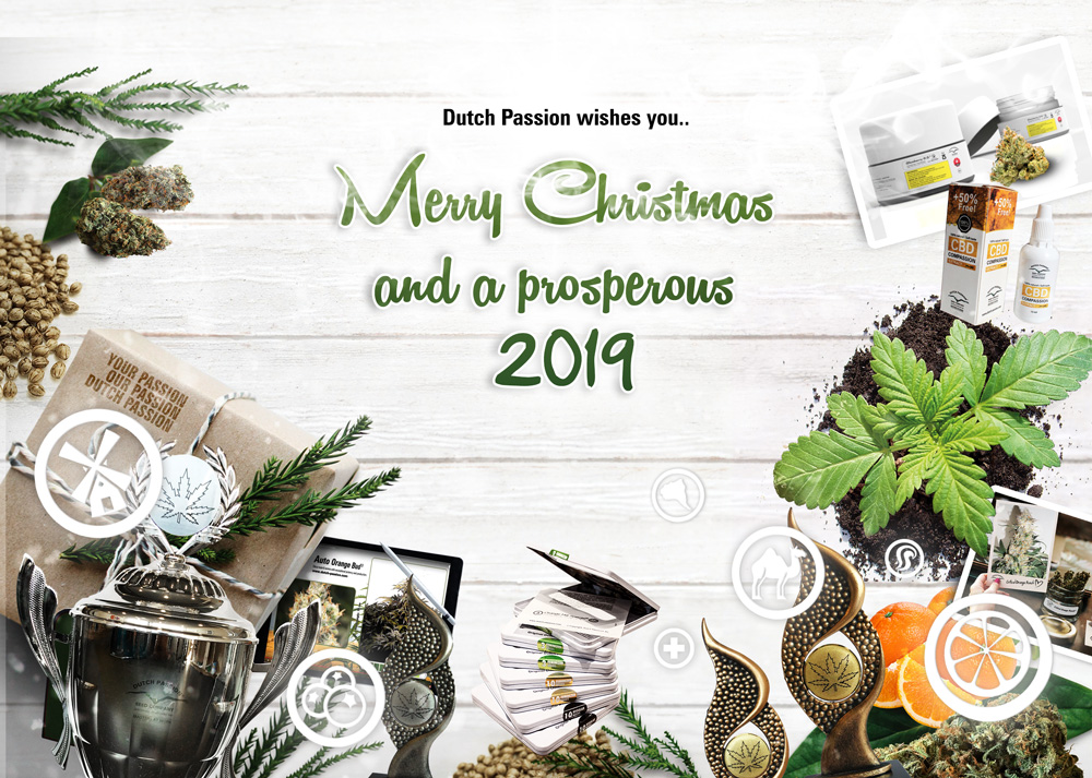 Cannabis and Christmas. The art of relaxation